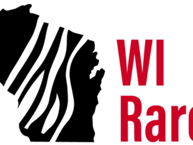 Upcoming Events Newsletter